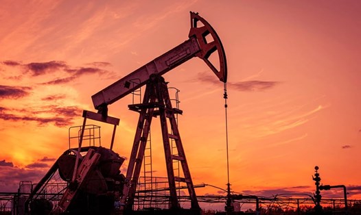Các quốc gia thuộc nhóm OPEC+ quyết định giảm sản lượng dầu trong tháng 10. Ảnh: Shutterstock
