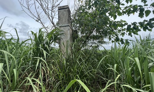 Phú Yên: "Đào bới, san phẳng" di tích cấp tỉnh để trồng mía.