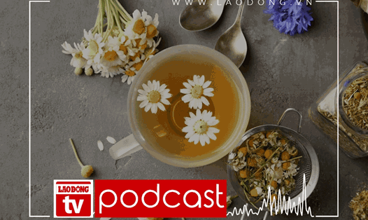 Giờ thứ 9: Vị trà hoa cúc - Phần 2
