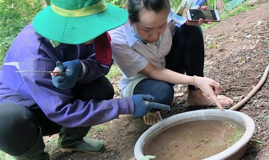 Cán bộ y tế ở huyện miền núi Hướng Hóa tuyên truyền cho người đồng bào thiểu số diệt lăng quăng, bọ gậy. Ảnh: Hưng Thơ.