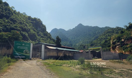 Cơ sở vật chất của TTDVNN Phong Thổ bỏ hoang đã lâu bỗng dưng được chuyển đổi "thần tốc" thành xưởng chế biến lá tre xuất khẩu.