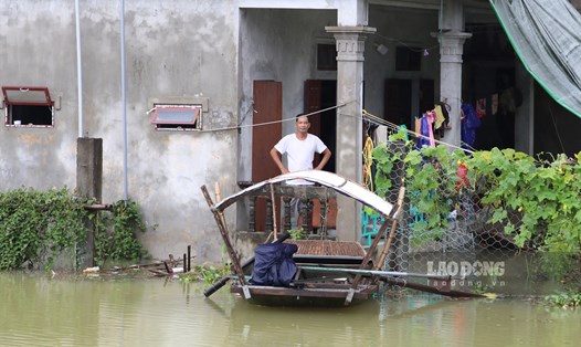 Mưa lũ khiến gần 1.000 nhà dân và hàng 100ha hoa màu tại 2 huyện Nho Quan và Gia Viễn (Ninh Bình) bị ngập trong nước. Ảnh: NT