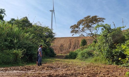 Ruộng lúa ở dưới chân bãi thải của dự án điện gió Tài Tâm bị bồi lấp nghiêm trọng. Ảnh: Hưng Thơ.