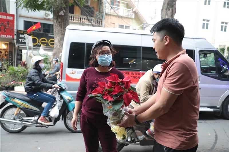 Cách lựa chọn cây cảnh trưng phòng khách dịp Tết Nguyên đán 2023