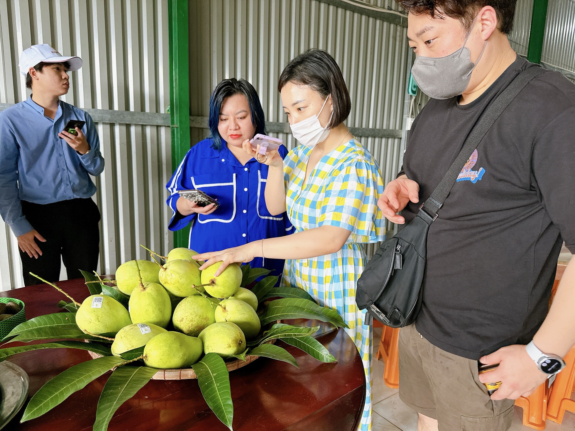 Những sản phẩm đạt chuẩn OCOP của Bến Tre