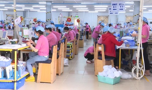 Các doanh nghiệp có những giải pháp kinh doanh phù hợp góp phần thúc đẩy tăng trưởng chung của toàn ngành công nghiệp tỉnh Kiên Giang. Ảnh: Nguyên Anh