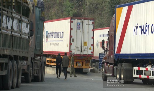 Xe hàng nông sản chuẩn bị thông quan tại cửa khẩu Tân Thanh (Lạng Sơn) ngày 8.1. Ảnh: Trần Tuấn
