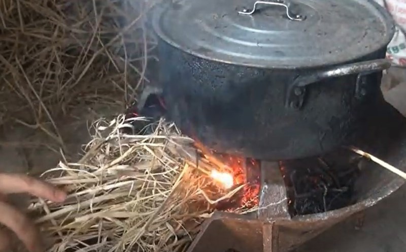 Hướng dẫn cơ bản cách chăm sóc hoa Lan Hồ Điệp chơi Tết