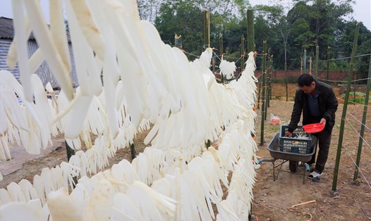 Những ngày này, người dân huyện Đầm Hà, tỉnh Quảng Ninh đang tất bật chuẩn bị củ cải phên để phục vụ cho thị trường Tết. Ảnh: Đoàn Hưng