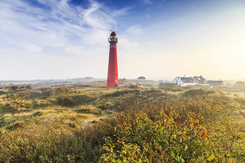 Đảo Schiermonnikoog thu hút du khách với vẻ đẹp hoang sơ tự nhiên. Ảnh: Xinhua