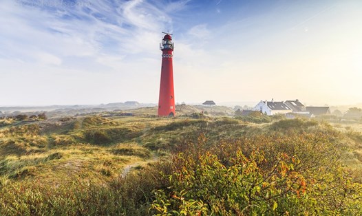 Đảo Schiermonnikoog thu hút du khách với vẻ đẹp hoang sơ tự nhiên. Ảnh: Xinhua