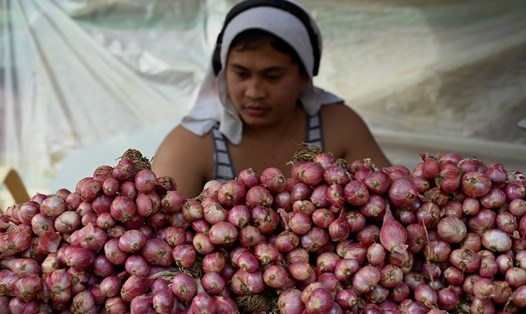 Một người bán hành trong khu chợ ở Manila, Philippines ngày 11.1.2023. Ảnh: AFP