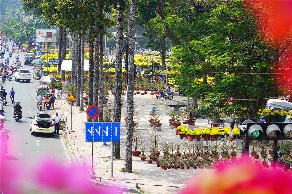 TPHCM mở thêm tour phục vụ du khách dịp Tết. Ảnh: Anh Tú.