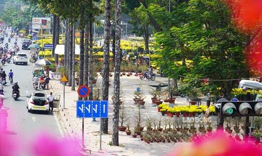 TPHCM mở thêm tour phục vụ du khách dịp Tết. Ảnh: Anh Tú.