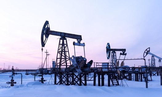Cả sản lượng dầu và xuất khẩu dầu của Nga đều tăng trong năm 2022. Ảnh: AFP