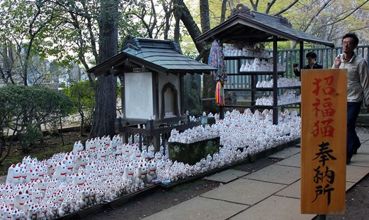 Đền mèo Gotokuji nổi tiếng khi thu hút du khách đến đây khám phá hàng nghìn tượng mèo Maneki-Neko độc đáo. Ảnh: Xinhua