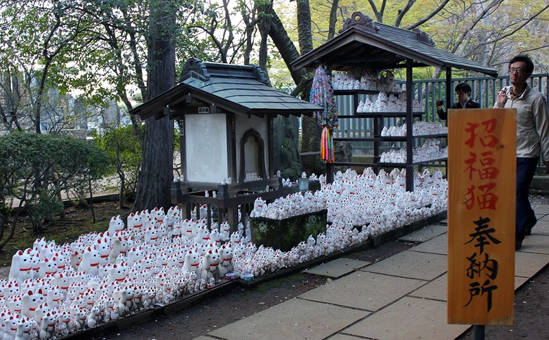 Đền mèo Gotokuji nổi tiếng khi thu hút du khách đến đây khám phá hàng nghìn tượng mèo Maneki-Neko độc đáo. Ảnh: Xinhua