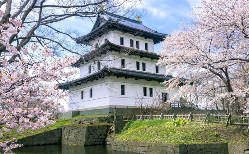 Hoa anh đào Nhật Bản là một trong lý do để du khách tìm đến thưởng lãm và khám phá. Ảnh: Xinhua