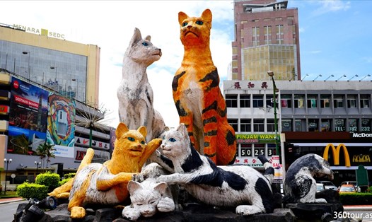 Thành phố Kuching (Malaysia) được xem là thiên đường cho loài mèo. Ảnh: Xinhua