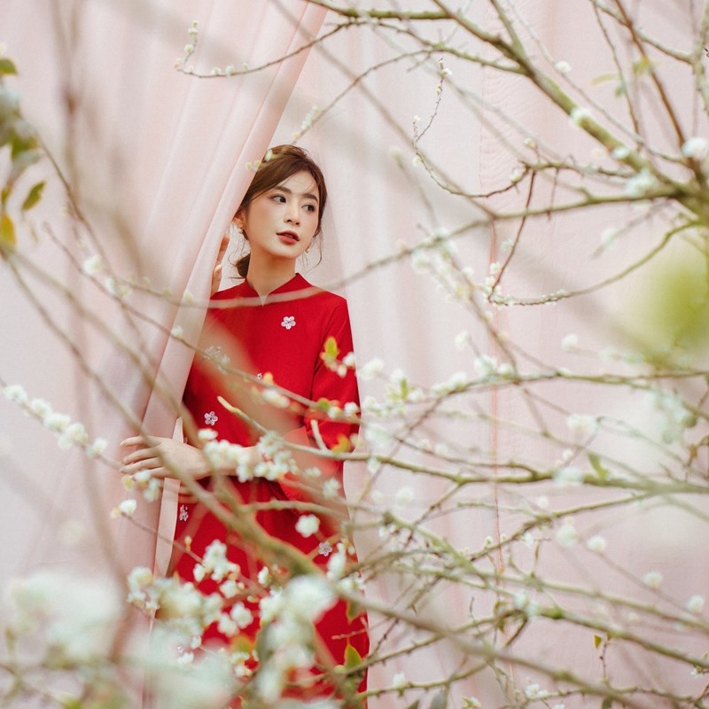 Đa dạng thời trang áo dài Tết