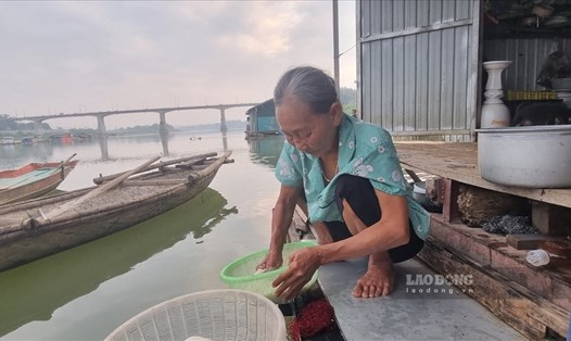 Mong ước được một lần ăn Tết trên bờ của người dân làng chài giữa lòng TP Tuyên Quang. Ảnh: Phùng Minh