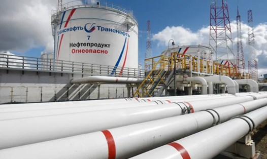 Đường ống dẫn dầu của công ty dầu khí Nga Transneft. Ảnh: Transneft