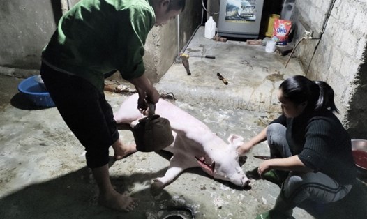 Hộ dân này ở xã Tân Lộc, huyện Lộc Hà, tỉnh Hà Tĩnh bị xử phạt 7 triệu đồng về hành vi giết mổ gia súc tại nhà. Ảnh Công an cung cấp.