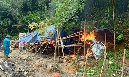 Lực lượng chức năng huyện Đắk Glong tiêu hủy lán trại của các đối tượng khai thác khoáng sản (vàng) trái phép ở trên đất rừng. Ảnh: H.T.