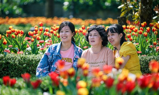 “Thiên đường hoa” Sun World Ba Na Hills sẽ mang đến cho du khách nhiều trải nghiệm khó quên vào dịp Tết Nguyên đán. Ảnh: Hà