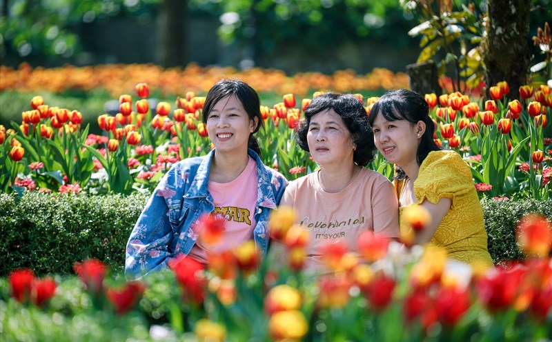 “Thiên đường hoa” Sun World Ba Na Hills sẽ mang đến cho du khách nhiều trải nghiệm khó quên vào dịp Tết Nguyên đán. Ảnh: Hà