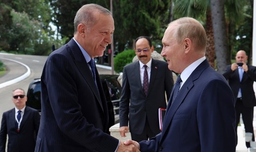 Tổng thống Nga Vladimir Putin (phải) gặp Tổng thống Thổ Nhĩ Kỳ Recep Tayyip Erdogan ở Sochi, Nga. Ảnh: Sputnik