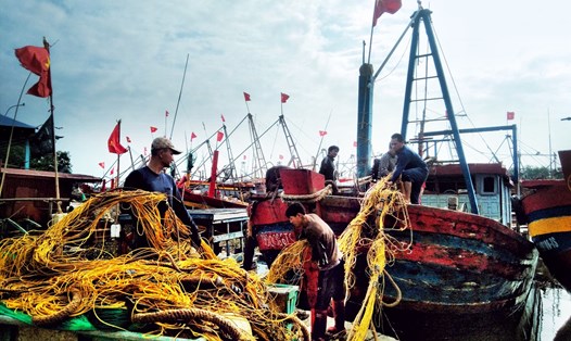 Những mẻ cá đầu năm mới của người dân miền biển Thái Bình. Ảnh: Lương Hà
