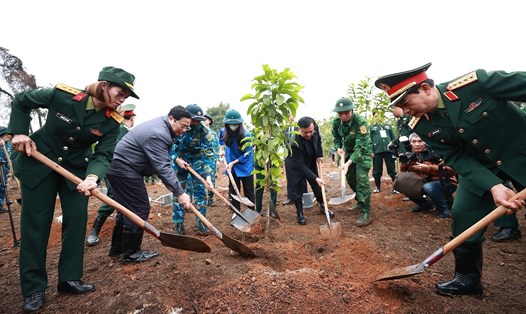 Thủ tướng Phạm Minh Chính trồng cây lưu niệm tại Khu Di tích K9. Ảnh: Dương Giang