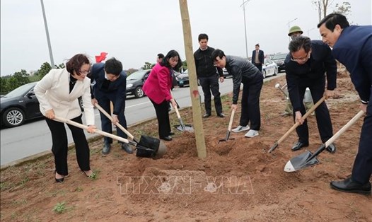 Đồng chí Võ Văn Thưởng, Ủy viên Bộ Chính trị, Thường trực Ban Bí thư và các đại biểu tham gia trồng cây tại thành phố Hưng Yên.