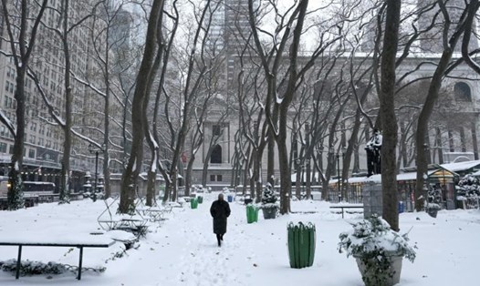 Công viên Bryant của New York vào một ngày tuyết rơi tháng 12.2020. Ảnh: AFP