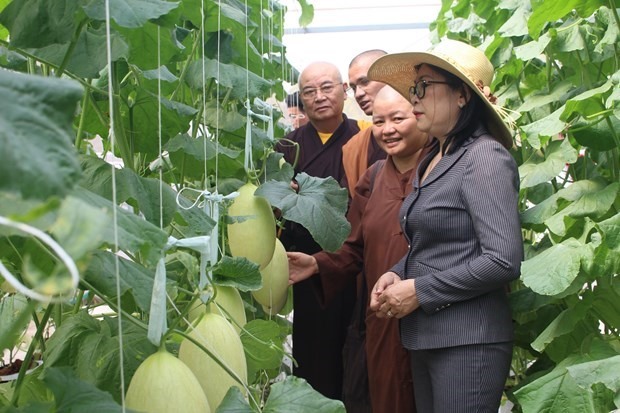 Ủy ban Mặt trận Tổ quốc Việt Nam tỉnh Bình Thuận đổi mới phương thức tổ chức gặp mặt các chức sắc các tôn giáo, dân tộc, người tiêu biểu trên địa bàn tỉnh. Ảnh: TTXVN