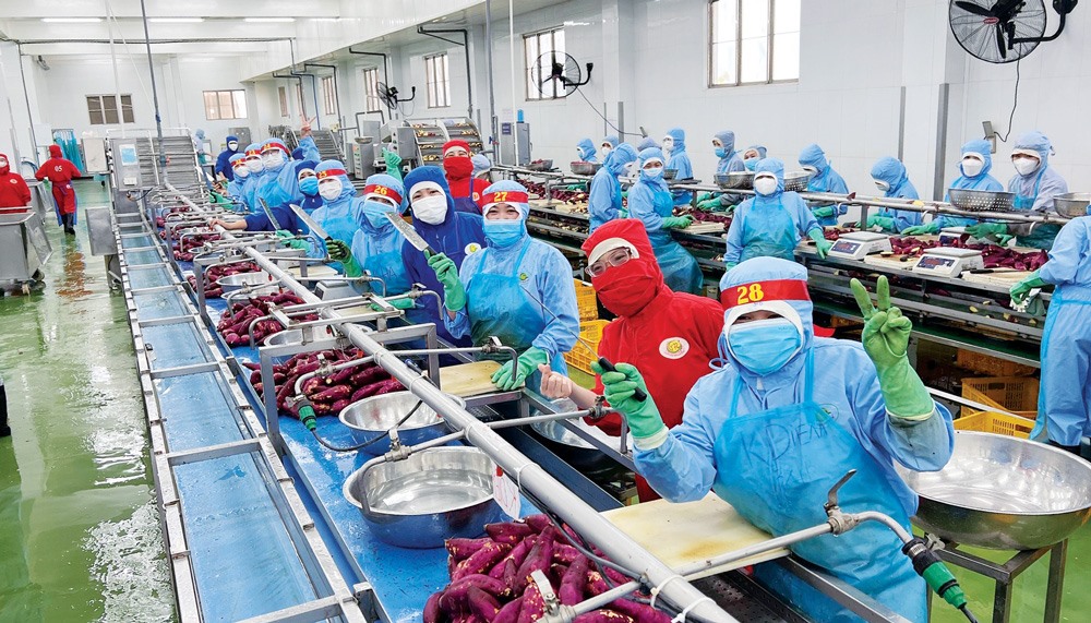 Công ty Cổ phần Viên Sơn (huyện Đức Trọng) là một trong những doanh nghiệp tiên phong ở Lâm Đồng xây dựng Halal. Ảnh: Diệp Quỳnh