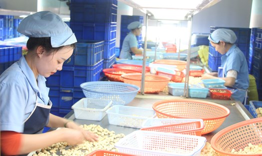 Các doanh nghiệp ở Đắk Nông đã sẵn sàng vào guồng sản xuất, kinh doanh. Ảnh: Phan Tuấn