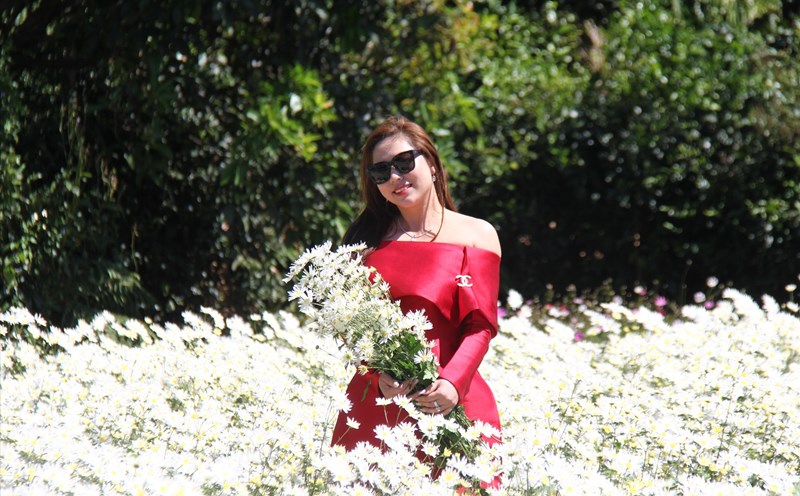 Du khách dạo chơi, chụp hình trên vườn hoa tại TP Pleiku. Ảnh Thanh Tuấn