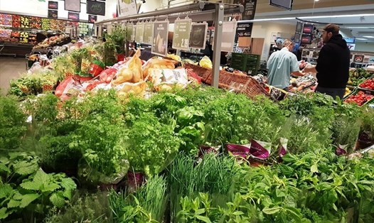 Nhiều loại rau gia vị của Việt Nam không còn bị kiểm soát theo tỉ lệ 50% khi xuất khẩu sang thị trường Châu Âu. Ảnh: Vũ Long