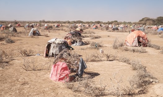 Một khu định cư bị bỏ hoang gần thành phố Gode, Ethiopia, ngày 12.12023, trong bối cảnh nước này hạn hán nghiêm trọng. Ảnh: AFP