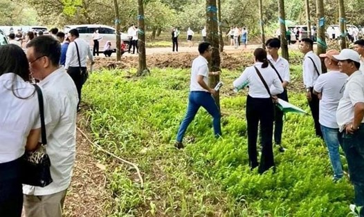 Thời điểm sốt đất, hàng trăm nhà đầu tư lên huyện Đồng Phú săn tìm đất. Ảnh: Người dân cung cấp