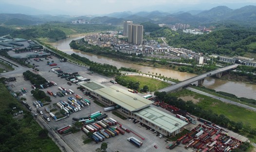 Các xe hàng hóa tập kết tấp nập tại cửa khẩu Kim Thành II trước giờ khôi phục hoạt động. Ảnh: Văn Đức.