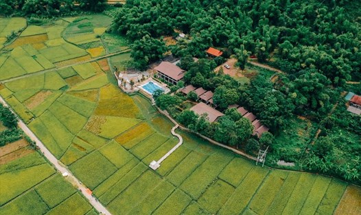 Tiềm năng để khai thác tại phân khúc bất động sản nông nghiệp vẫn rất lớn. Ảnh Cao Nguyên.