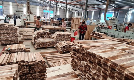 Ngành lâm nghiệp đặt mục tiêu xuất khẩu gỗ và các sản phẩm gỗ đạt 17,5 tỉ USD trong năm 2023. Ảnh: Vũ Long