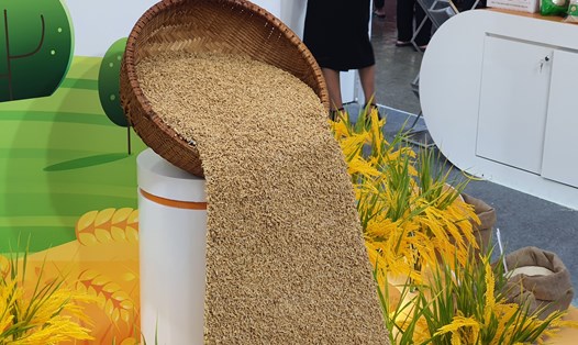 Gần đây, giá lúa gạo trong nước có xu hướng giảm nhẹ. Ảnh: Phan Anh