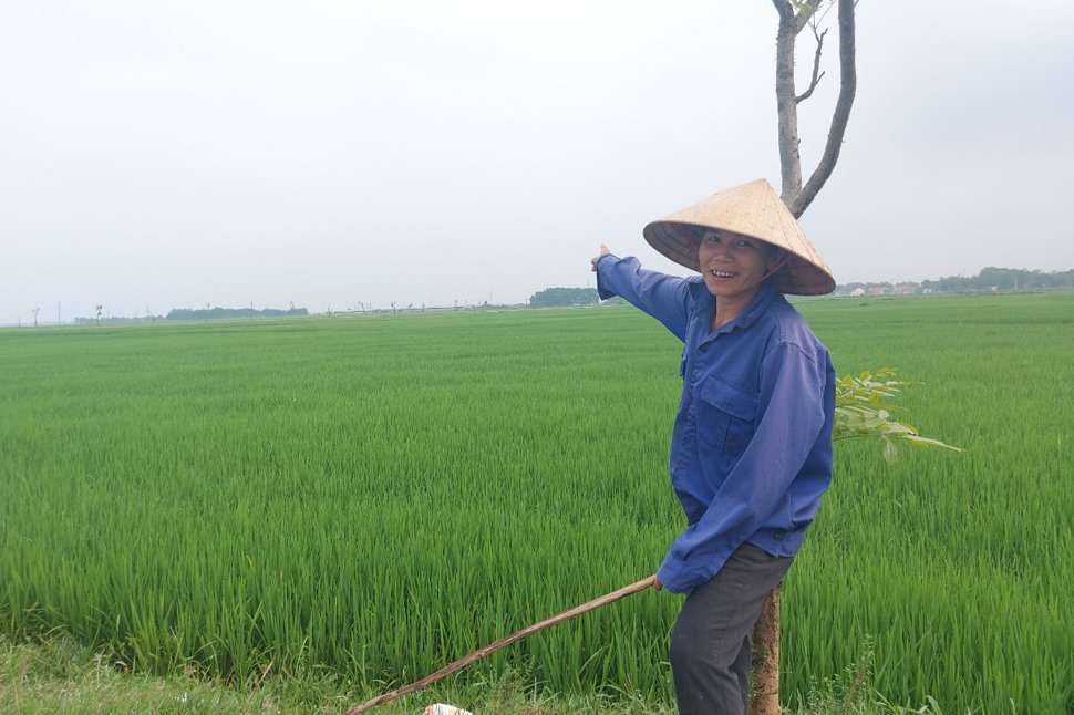 Dự án Khu Công nghiệp Bắc Thạch Hà thu hồi chủ yếu là đất ruộng của nông dân. Ảnh: Trần Tuấn.