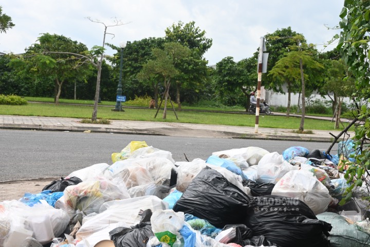 Gần khu vực công viên (thuộc địa bàn xã Quới Sơn, huyện Châu Thành, tỉnh Bến Tre), rác thải nằm trên vỉa hè gây mất mỹ quan đô thị. 