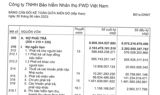 FWD Việt Nam phải trả nhân viên gần 57 tỉ đồng. Ảnh: Chụp màn hình.