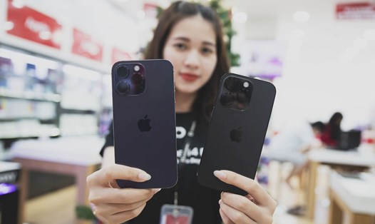 iPhone 14 Pro Max có giá chỉ từ 25,69 triệu đồng tại Di Động Việt. Ảnh: Di Động Việt